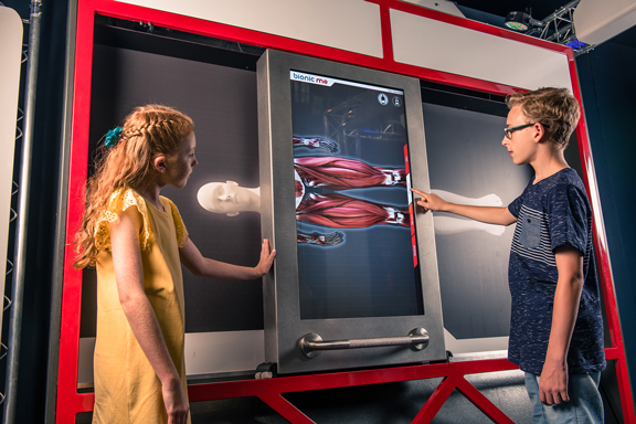 Two young children looking at a body scan of the human body showing muscles.
