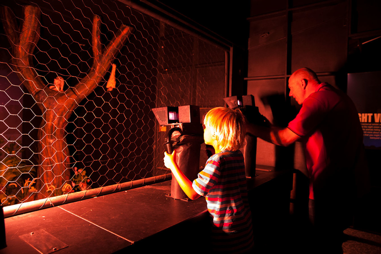 A young boy looking at a tree through night vision lenses in a dark room.