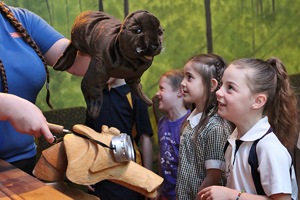 A group of school children looking at a seal hand puppet.