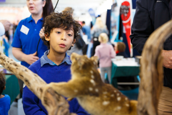 A young boy looking curiously at a taxidermy animal.