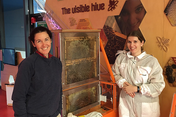 Two women standing next to a bee colony filled with bees in an indoor hive.