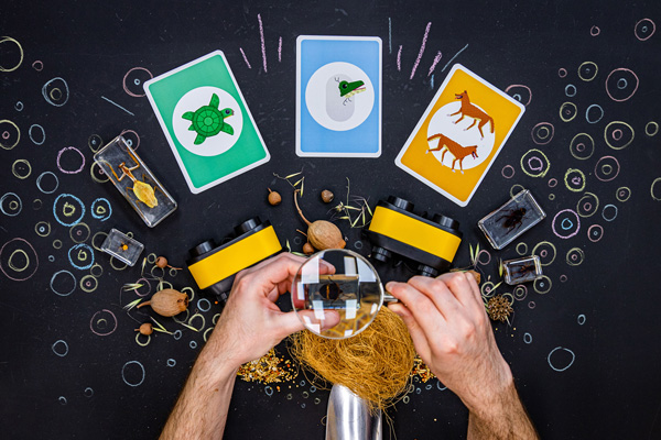 Contents of a DIY kit for biological sciences.
