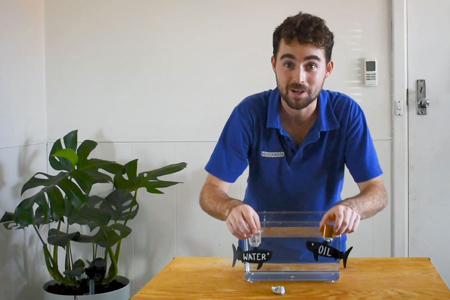 How Do Fish Maintain Neutral Buoyancy? - Experiment At Home - Scitech