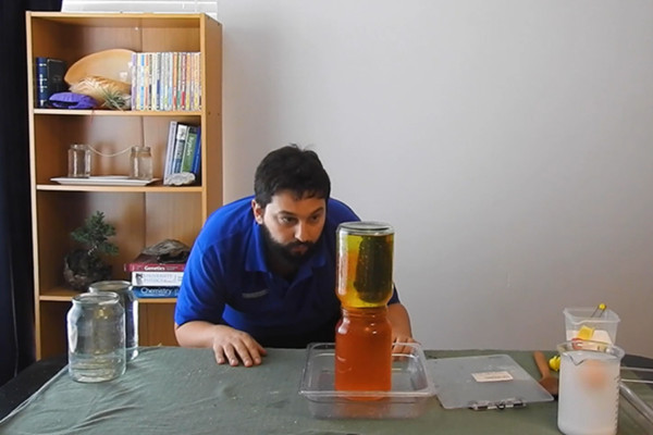 A man looking intently at two jars of coloured liquid stacked on top of one another for an experiment.