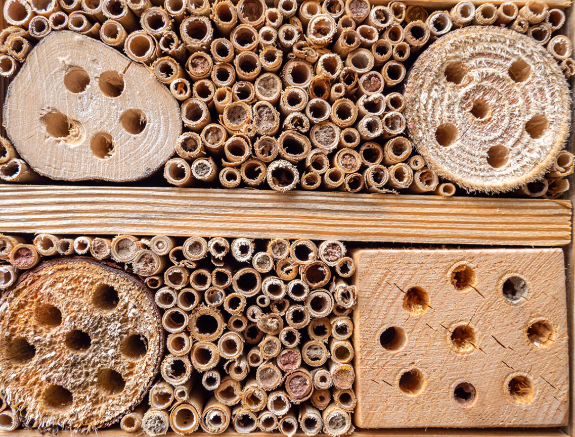 Closeup of an insect hotel with 4 logs that have holes drilled into them and a series of bamboo tubes