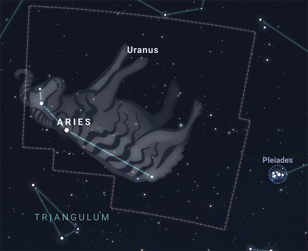 An illustration of the constellation Aries, the giant ram in the night sky. 