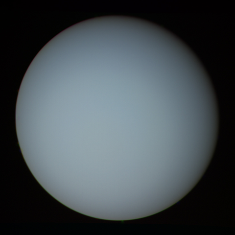 A photo of the almost featureless face of Uranus, as captured by Voyager 2