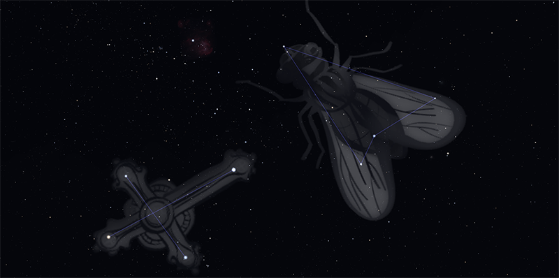 Constellation Musca the Fly outlines in the night sky