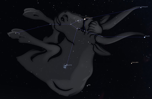 Night sky outline of the constellation Taurus - the bull - visible in March 2022 in the southern sky