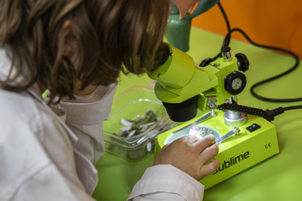 child looking into a microscope